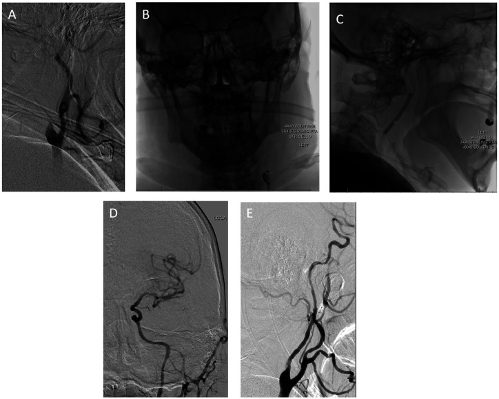 Figure 1.