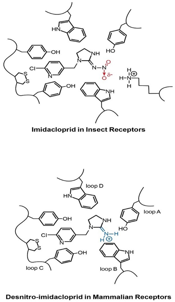 Figure 2:
