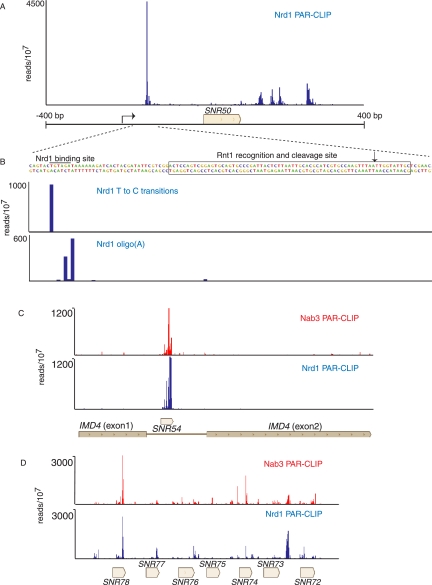 FIGURE 4.