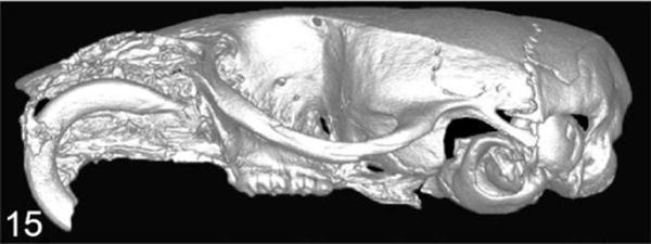 Figure 15