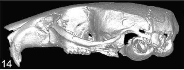 Figure 14