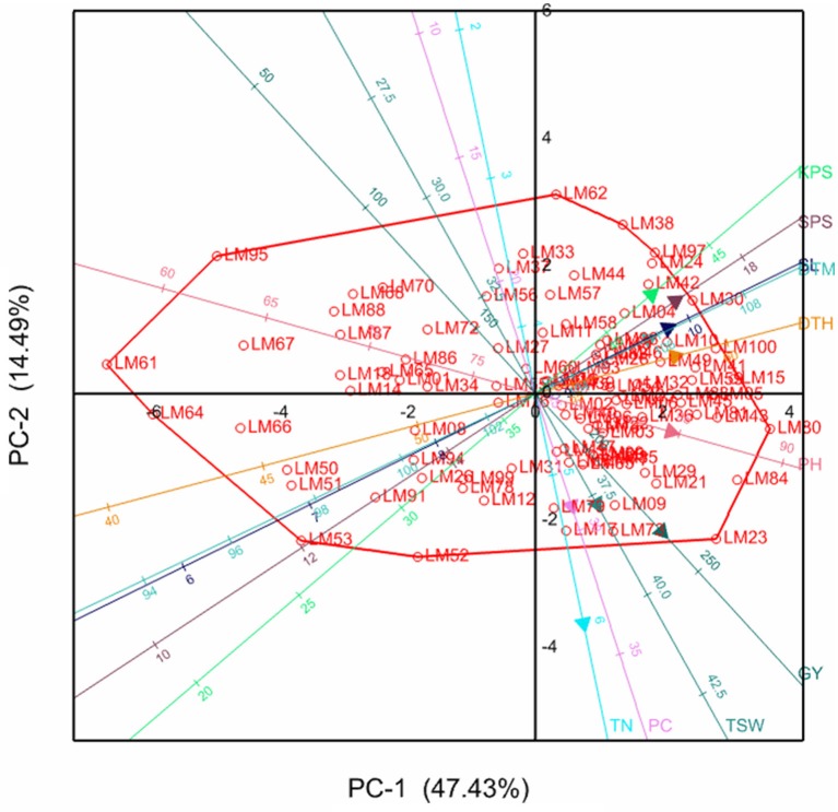 Figure 2