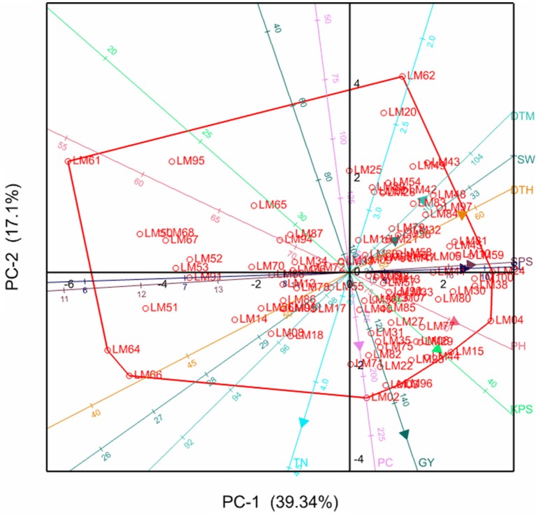 Figure 1