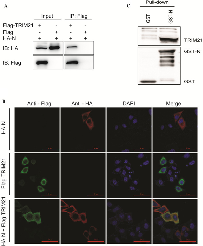 Fig. 3