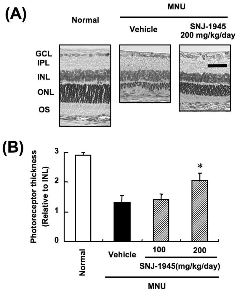 Fig. 11