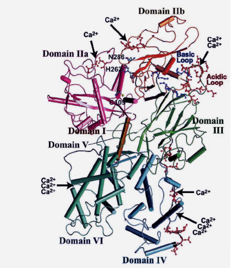 Fig. 12