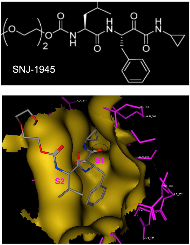 Fig. 13