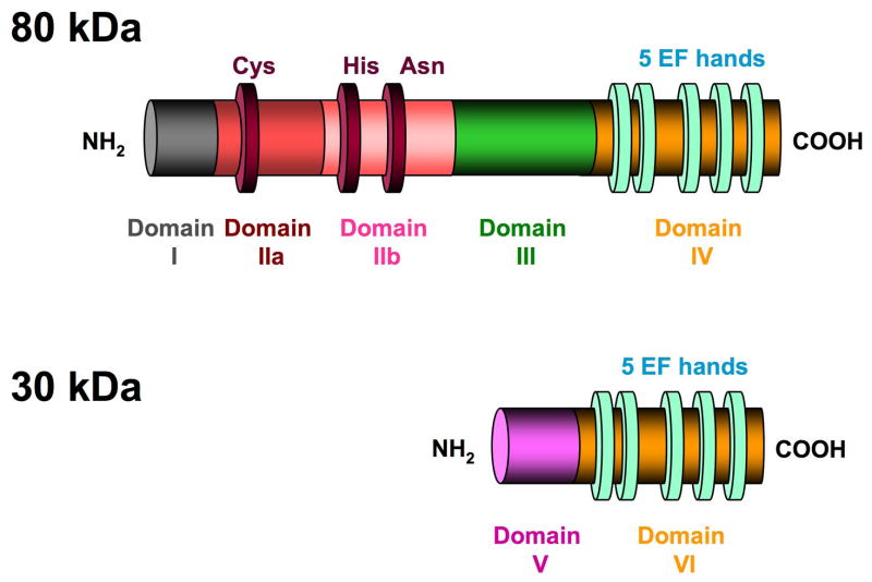 Fig. 2