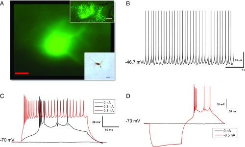 Fig. 3.