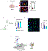 Extended Data Fig. 10.