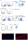 Extended data Fig. 4.