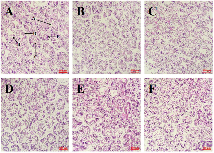 Figure 3