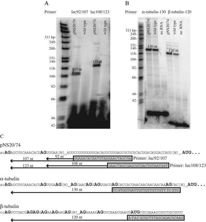 FIG. 7.