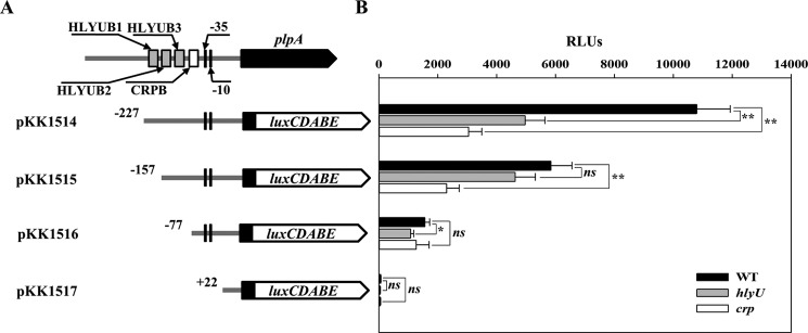 Figure 7.