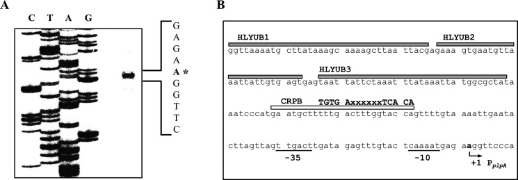 Figure 6.