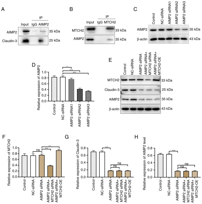 Figure 6.