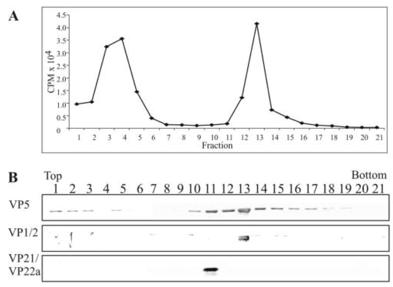 FIG. 7