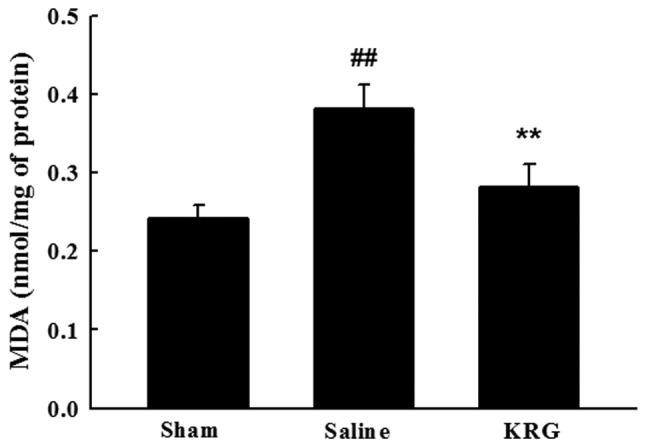 Figure 3.