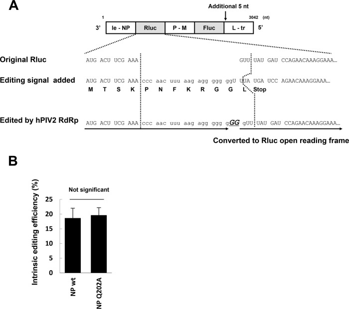 FIG 6