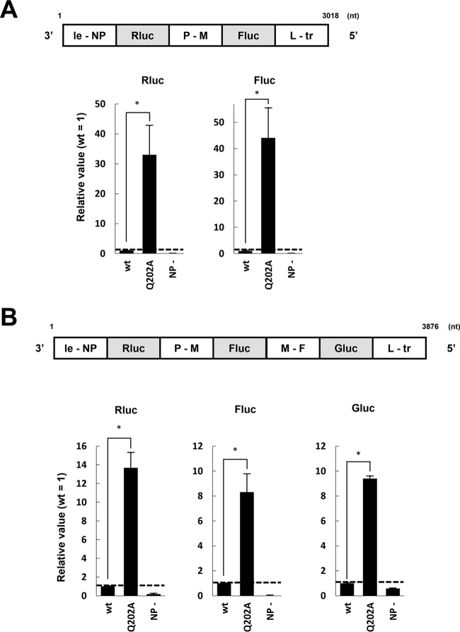 FIG 5