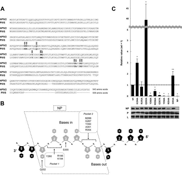 FIG 1