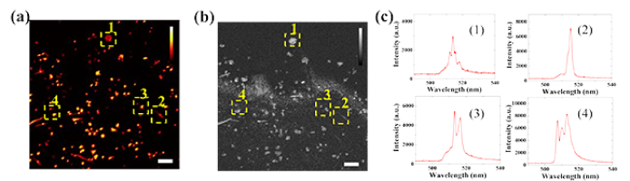 Fig. 3.