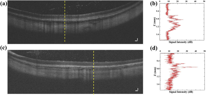 Fig. 8.