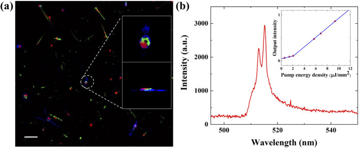 Fig. 2.