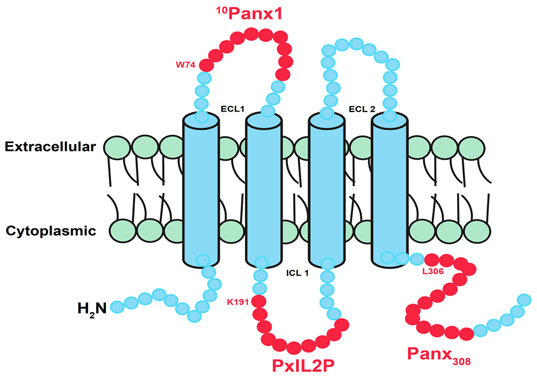 Figure 2.