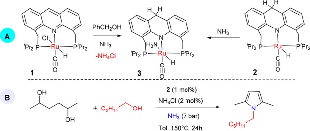 Scheme 2