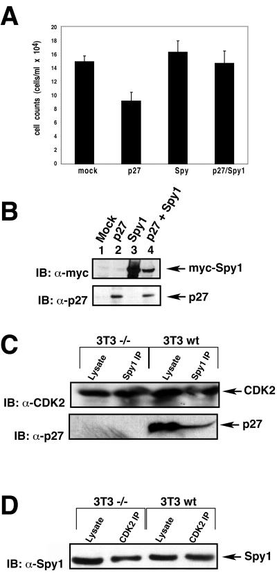 Figure 9.