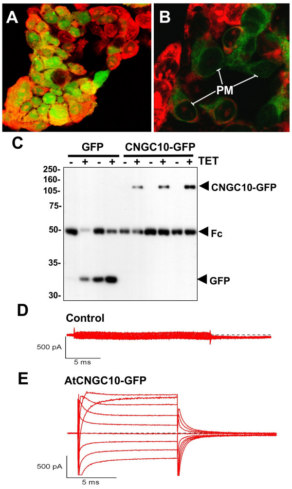 Figure 9