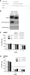 FIGURE 3: