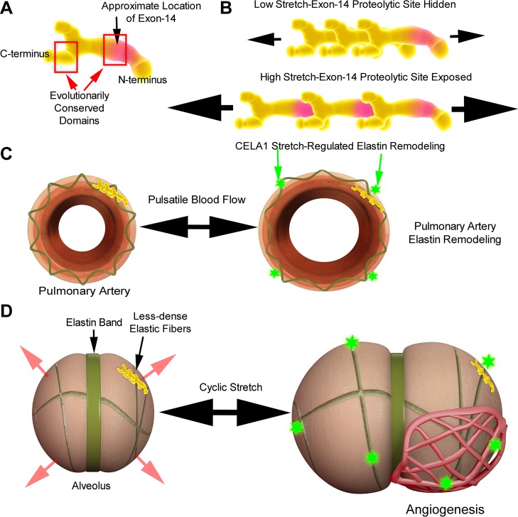 Fig. 7.