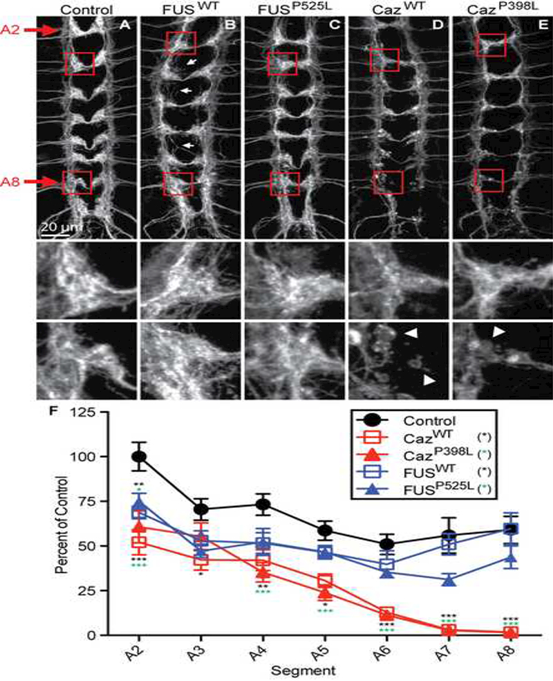 Figure 4: