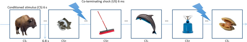 Fig. 1