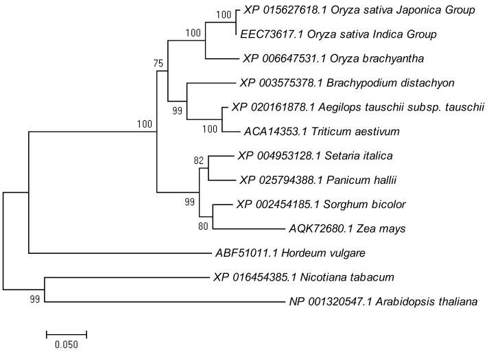 Figure 6