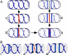 Fig. 6.