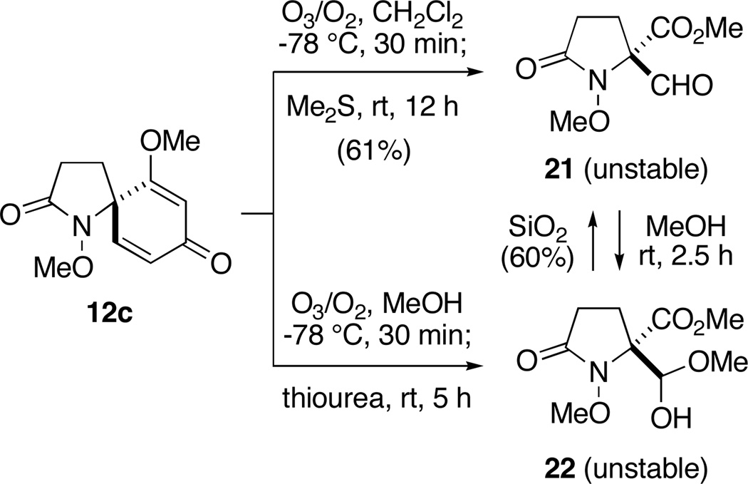 Scheme 4