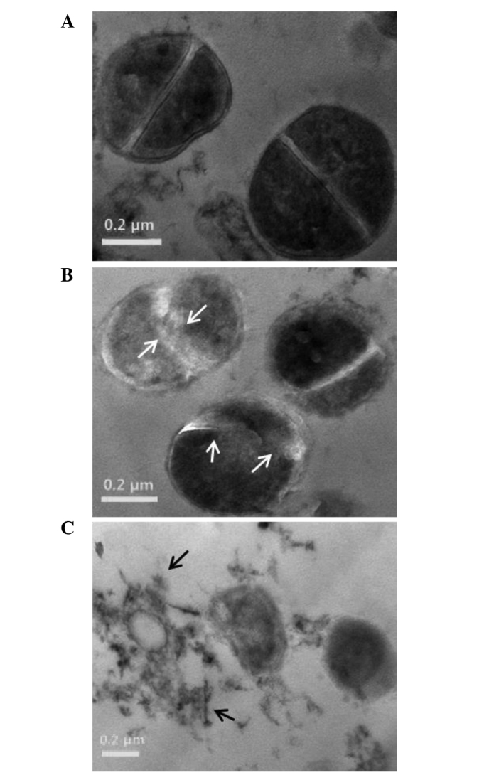 Figure 5.