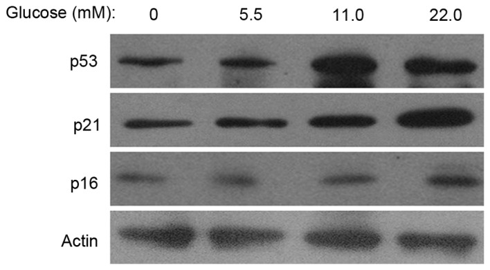 Figure 2.