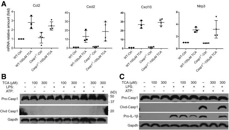 Figure 6