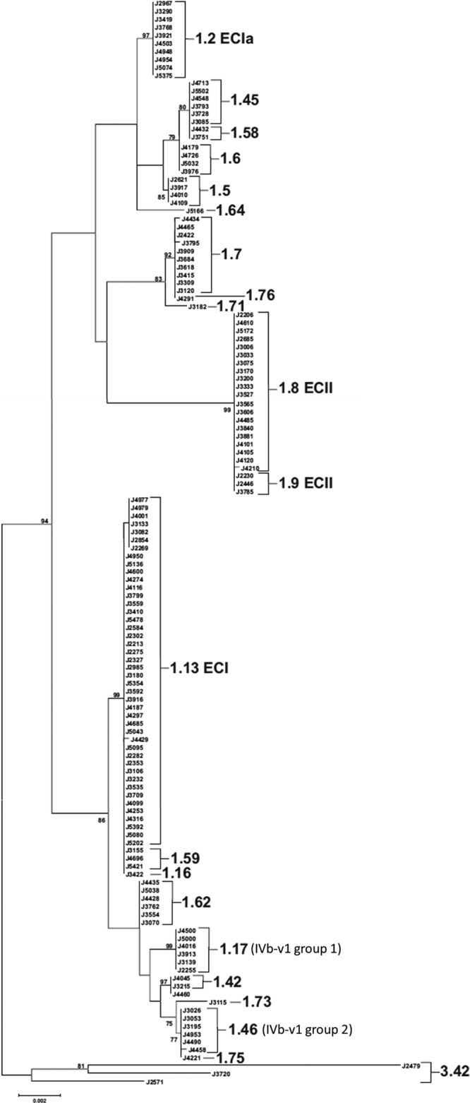 FIG 3