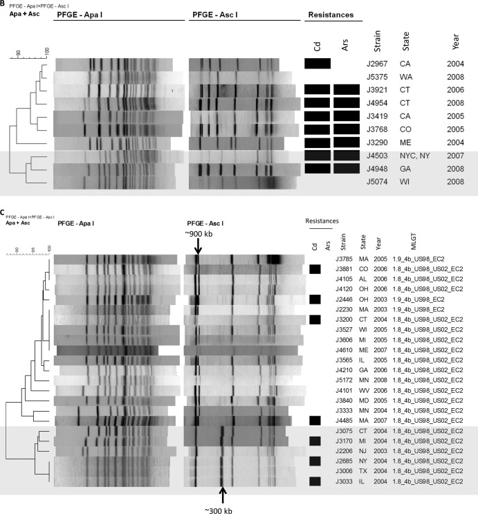 FIG 2