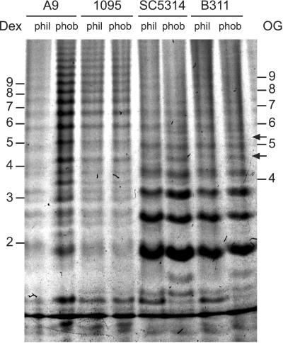 FIG. 4.