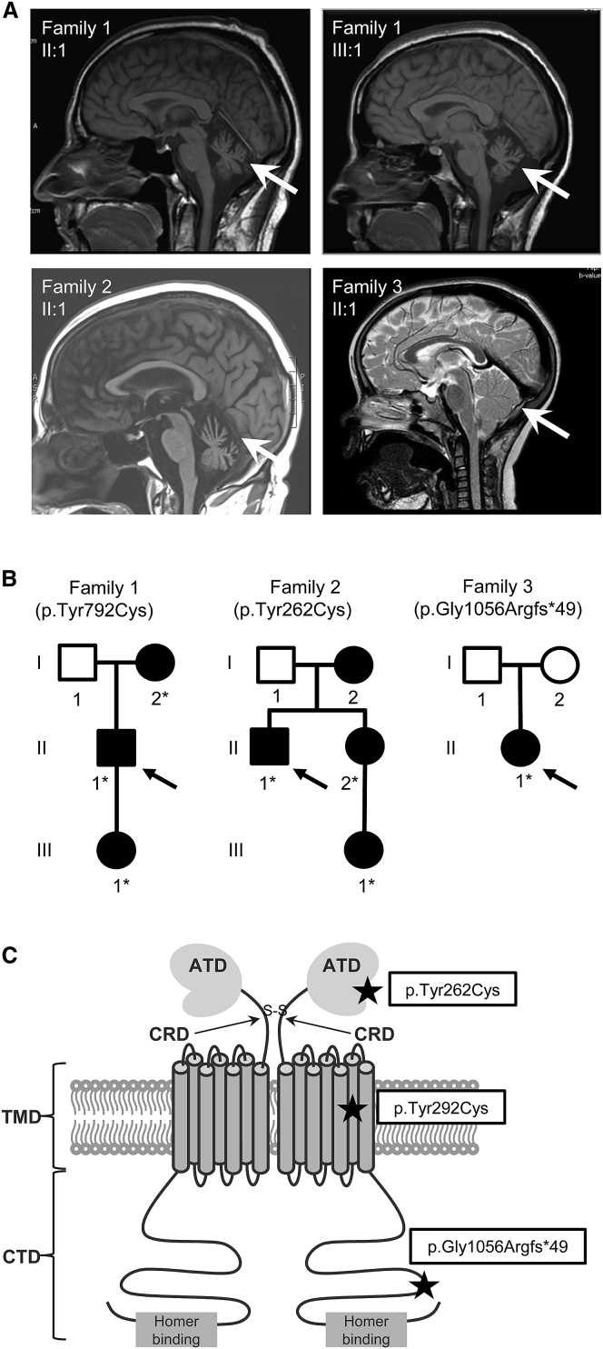 Figure 1