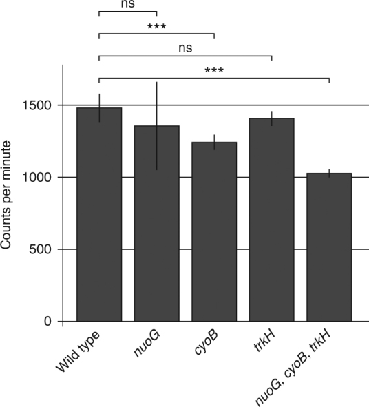 Fig. 4