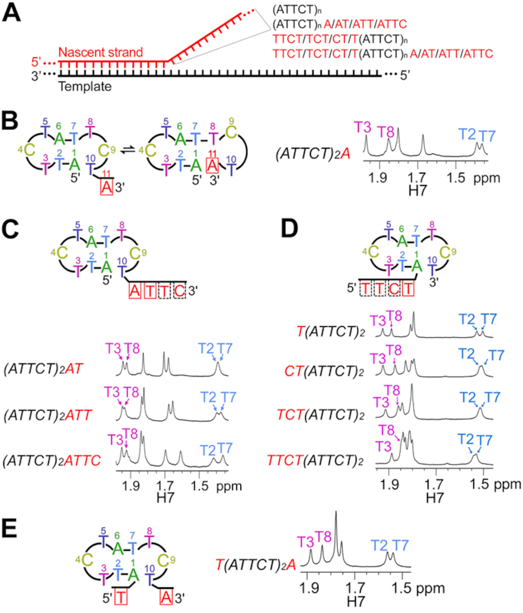 Figure 7.