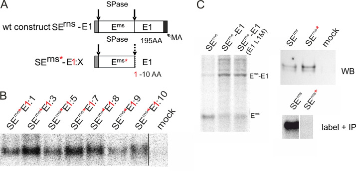 FIG 2