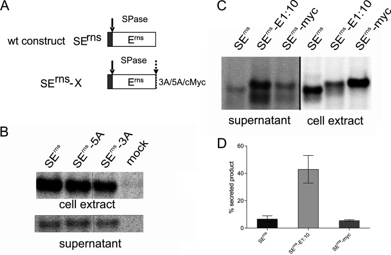 FIG 6